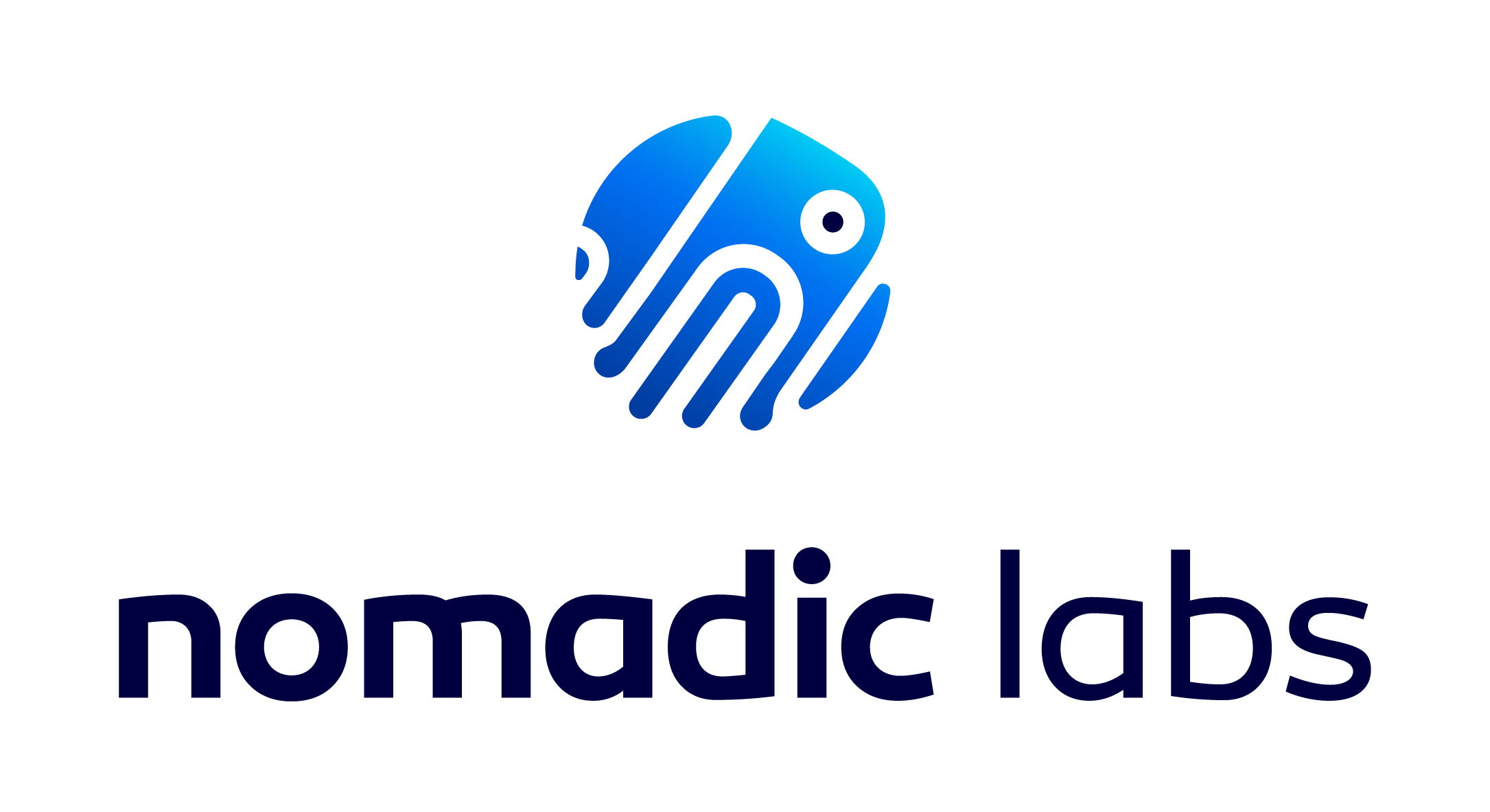 Nomadic Lab logo